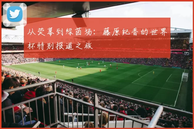 从荧幕到绿茵场：藤原纪香的世界杯特别报道之旅