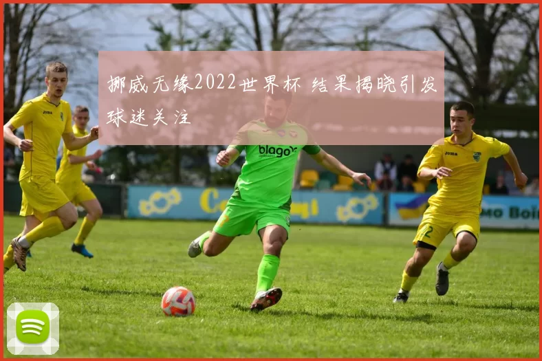 挪威无缘2022世界杯 结果揭晓引发球迷关注