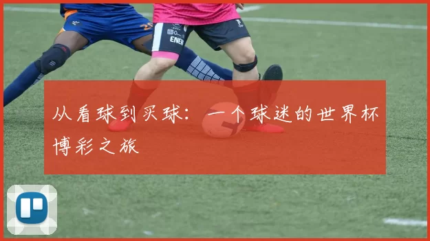 从看球到买球：一个球迷的世界杯博彩之旅