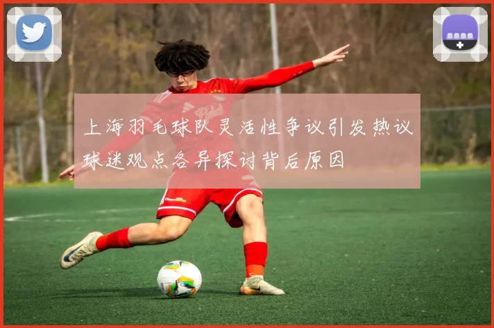 上海羽毛球队灵活性争议引发热议球迷观点各异探讨背后原因