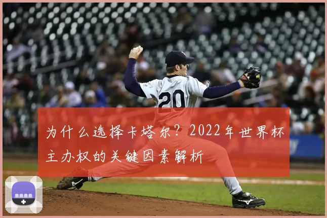 为什么选择卡塔尔？2022年世界杯主办权的关键因素解析