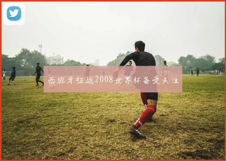 西班牙征战2008世界杯备受关注