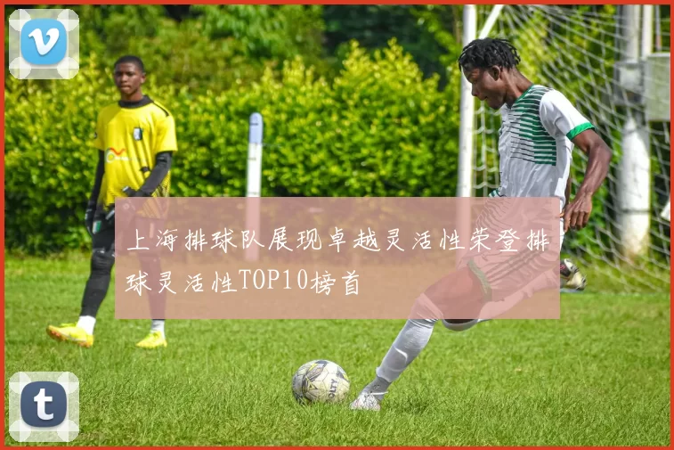上海排球队展现卓越灵活性荣登排球灵活性TOP10榜首