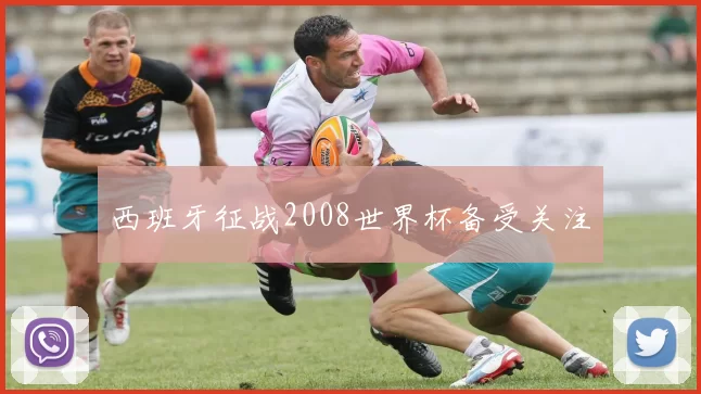 西班牙征战2008世界杯备受关注