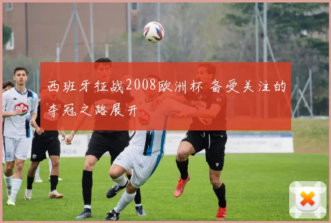 西班牙征战2008欧洲杯 备受关注的夺冠之路展开