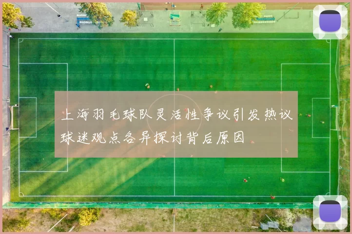 上海羽毛球队灵活性争议引发热议球迷观点各异探讨背后原因