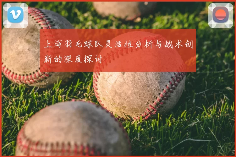 上海羽毛球队灵活性分析与战术创新的深度探讨