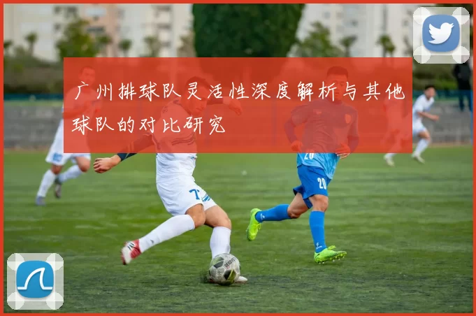 广州排球队灵活性深度解析与其他球队的对比研究