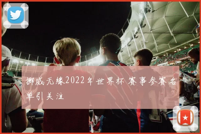 挪威无缘2022年世界杯 赛事参赛名单引关注