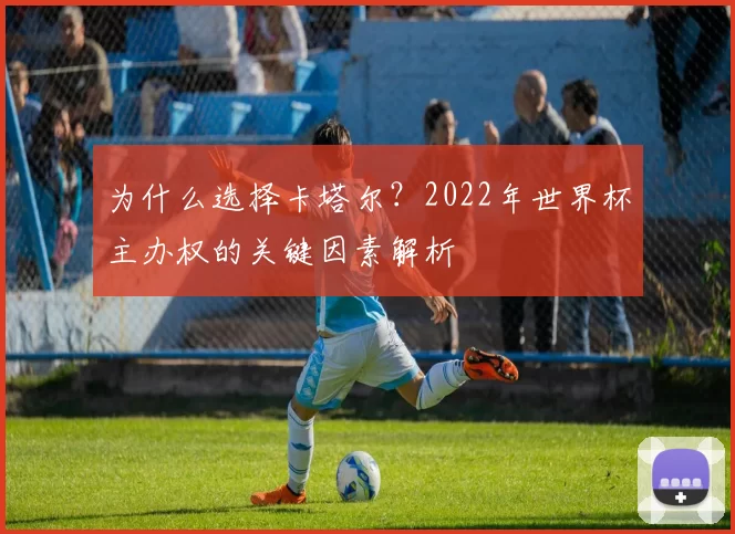为什么选择卡塔尔？2022年世界杯主办权的关键因素解析