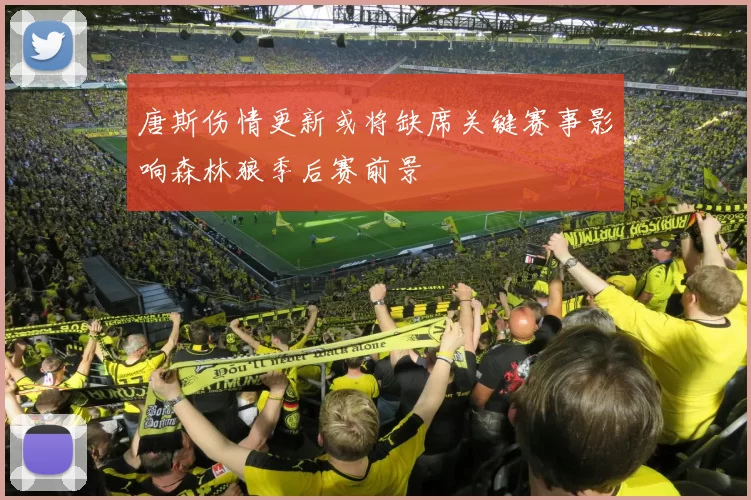 唐斯伤情更新或将缺席关键赛事影响森林狼季后赛前景