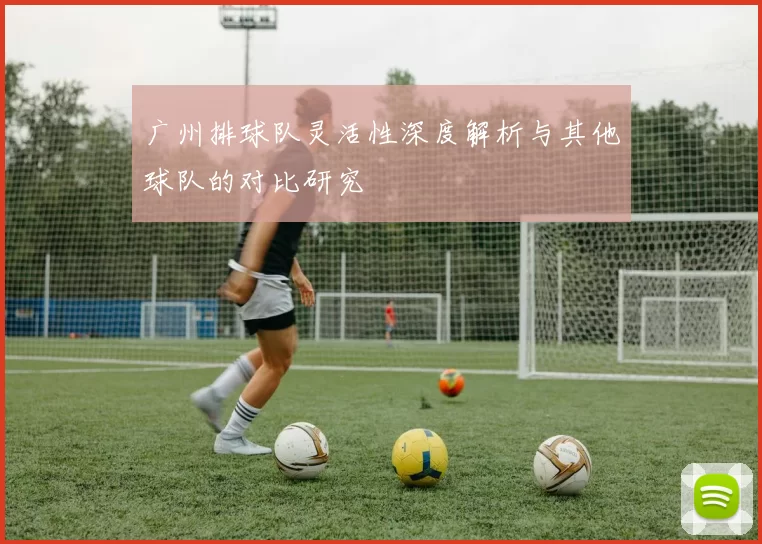 广州排球队灵活性深度解析与其他球队的对比研究