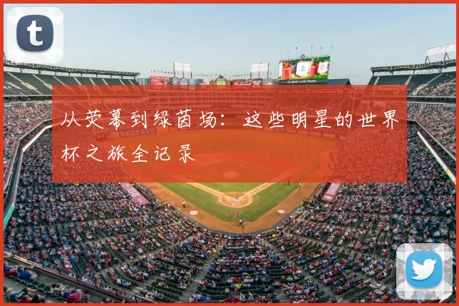 从荧幕到绿茵场：这些明星的世界杯之旅全记录