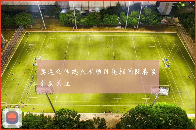 奥运会传统武术项目亮相国际赛场引发关注