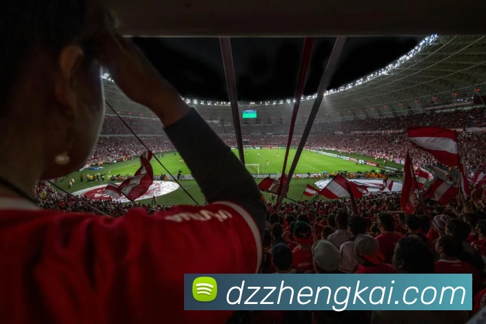 爱游戏体育品牌故事